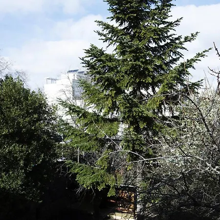 Confortable A Ferrand 25 M² Parking Inclus * Clermont-Ferrand